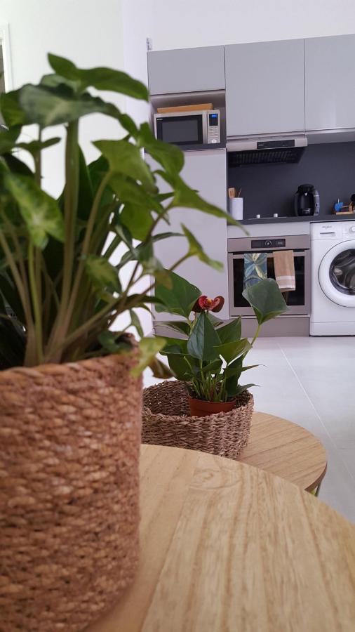 Apartment Superbe 2 Pieces Neuf A 100m De La Menton